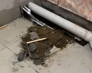 宁都卫生间漏水检测哪家好